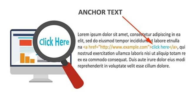Check anchor text